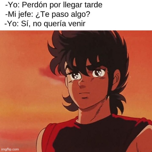 9nns21.jpg