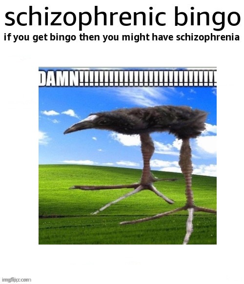 what does this mean | image tagged in schizophrenic bingo | made w/ Imgflip meme maker