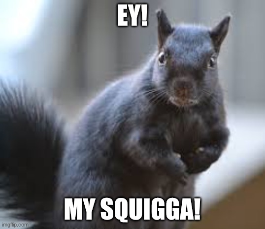 my squigga | EY! MY SQUIGGA! | image tagged in memes,squirrel | made w/ Imgflip meme maker