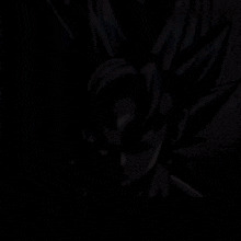 Goku Prowler Blank Meme Template