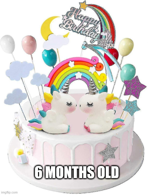 Birthday | 6 MONTHS OLD | image tagged in birthday | made w/ Imgflip meme maker