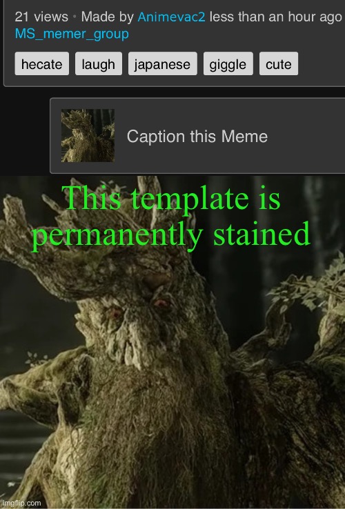 This template is permanently stained | image tagged in hecate | made w/ Imgflip meme maker