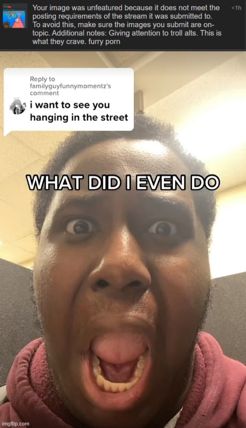 How I feel after abusing my moderation privileges | image tagged in what did i even do | made w/ Imgflip meme maker