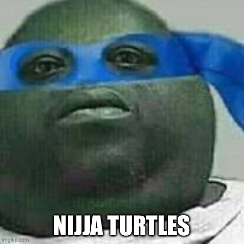 Didn’t actually say it | NIJJA TURTLES | made w/ Imgflip meme maker