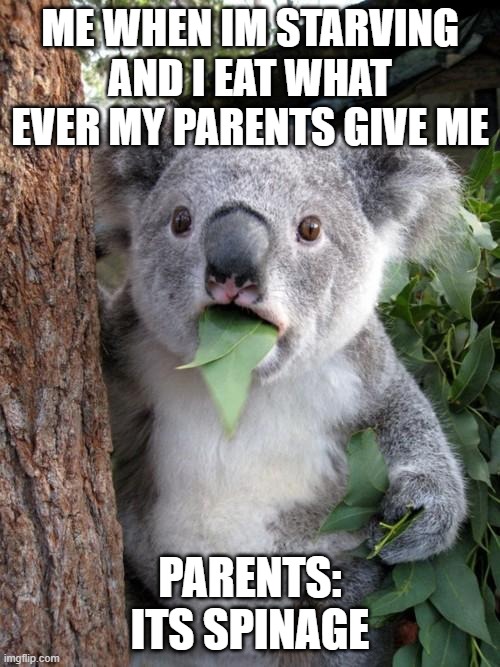 Surprised Koala | ME WHEN IM STARVING AND I EAT WHAT EVER MY PARENTS GIVE ME; PARENTS: ITS SPINAGE | image tagged in memes,surprised koala | made w/ Imgflip meme maker