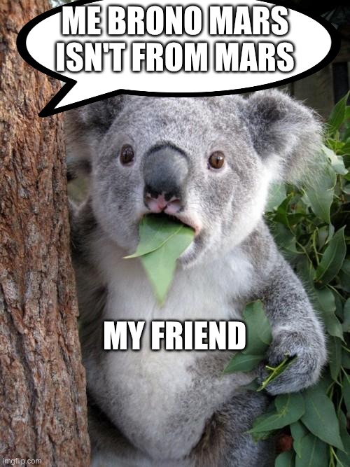 Surprised Koala Meme | ME BRONO MARS ISN'T FROM MARS; MY FRIEND | image tagged in memes,surprised koala | made w/ Imgflip meme maker