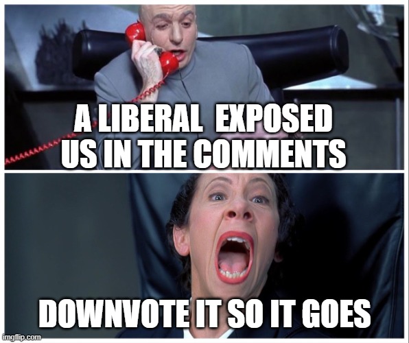 The real reason why Republicans downvote | A LIBERAL  EXPOSED US IN THE COMMENTS; DOWNVOTE IT SO IT GOES | image tagged in dr evil and frau yelling,pathetic don | made w/ Imgflip meme maker