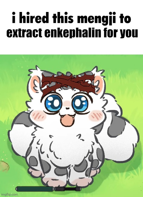 extract enkephalin for you | image tagged in i hired this megji to x at/for you | made w/ Imgflip meme maker