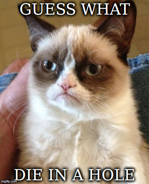 Grumpy Cat | GUESS WHAT DIE IN A HOLE | image tagged in memes,grumpy cat | made w/ Imgflip meme maker