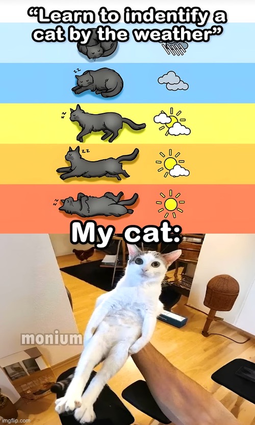 I think there’s a hurricane outside | made w/ Imgflip meme maker