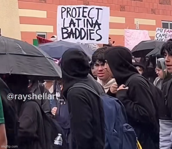 Didn’t know Shadow was a protestor | made w/ Imgflip meme maker