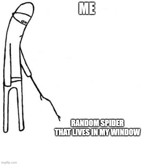 Spiders, during the day, will respond to vibrations in its web, so tapping on the glass works. | ME; RANDOM SPIDER THAT LIVES IN MY WINDOW | image tagged in c'mon do something,spider,window,bored | made w/ Imgflip meme maker