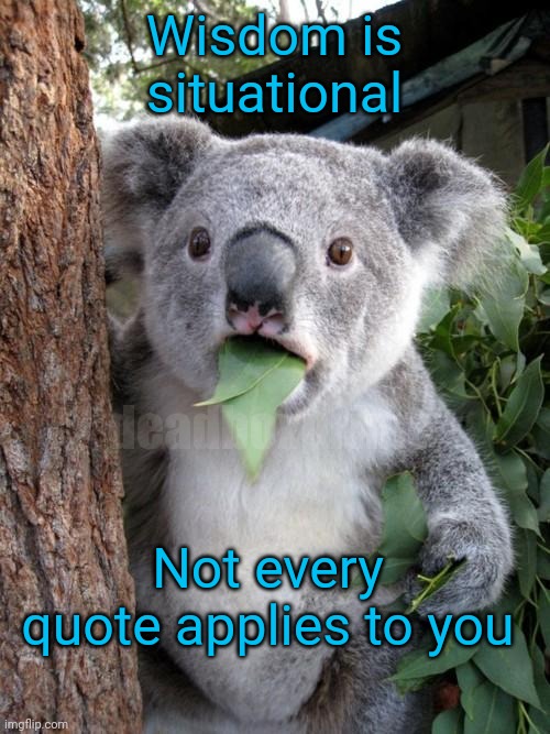 Know yourself | Wisdom is situational; deadboxprime; Not every quote applies to you | image tagged in memes,surprised koala | made w/ Imgflip meme maker