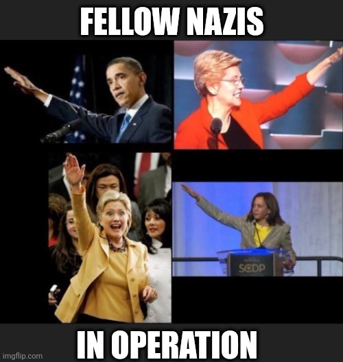 FELLOW NAZIS IN OPERATION | made w/ Imgflip meme maker