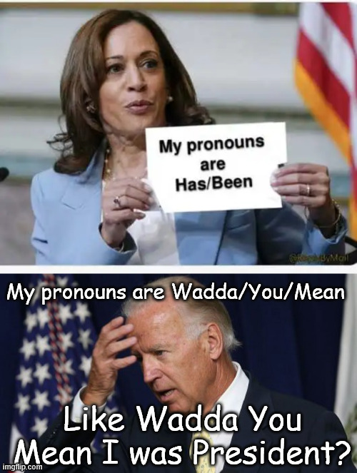 No wonder why the dem party sucks so bad. | My pronouns are Wadda/You/Mean; Like Wadda You Mean I was President? | image tagged in joe biden worries,dem,pronouns | made w/ Imgflip meme maker