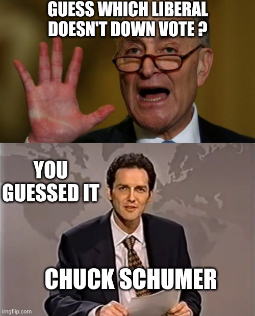 GUESS WHICH LIBERAL DOESN'T DOWN VOTE ? YOU GUESSED IT CHUCK SCHUMER | image tagged in chuck schumer,weekend update with norm | made w/ Imgflip meme maker