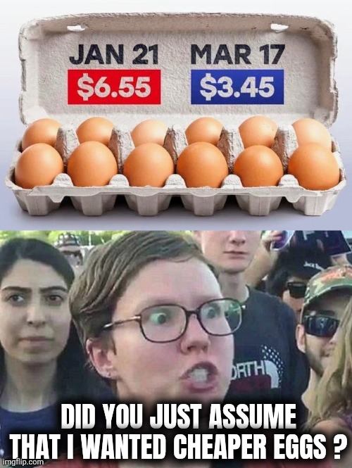 Need something else to cry about ? | DID YOU JUST ASSUME THAT I WANTED CHEAPER EGGS ? | image tagged in triggered liberal,crying liberal,stop it get some help,nothing is ok,because trump,not a good reason | made w/ Imgflip meme maker