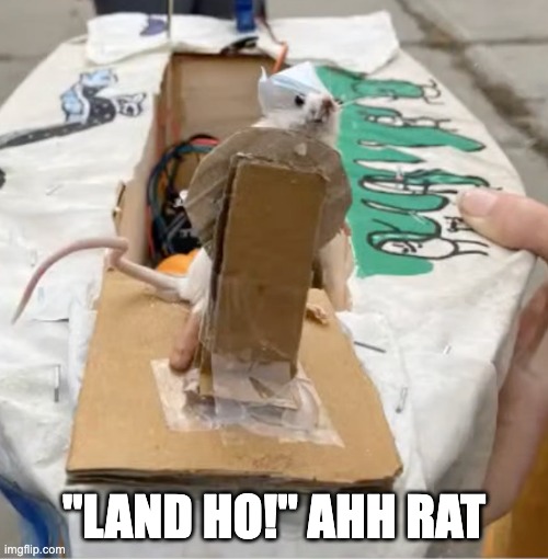 "batten down the hatches!!" ahh rat | "LAND HO!" AHH RAT | image tagged in memes,pirate,ahh,boat,ship,ocean | made w/ Imgflip meme maker