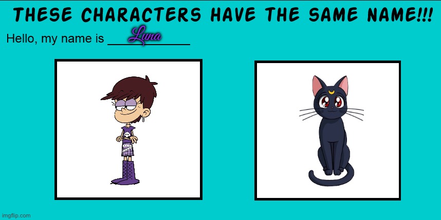 2 characters named Luna | Luna | image tagged in anime,the loud house,nickelodeon,sailor moon,meme,cartoon network | made w/ Imgflip meme maker