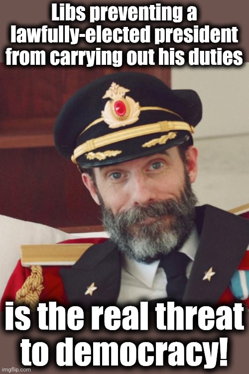 Captain Obvious | Libs preventing a lawfully-elected president from carrying out his duties is the real threat
to democracy! | image tagged in captain obvious | made w/ Imgflip meme maker