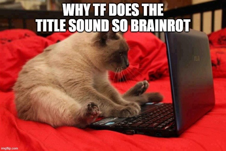 Cat computer | WHY TF DOES THE TITLE SOUND SO BRAINROT | image tagged in cat computer | made w/ Imgflip meme maker