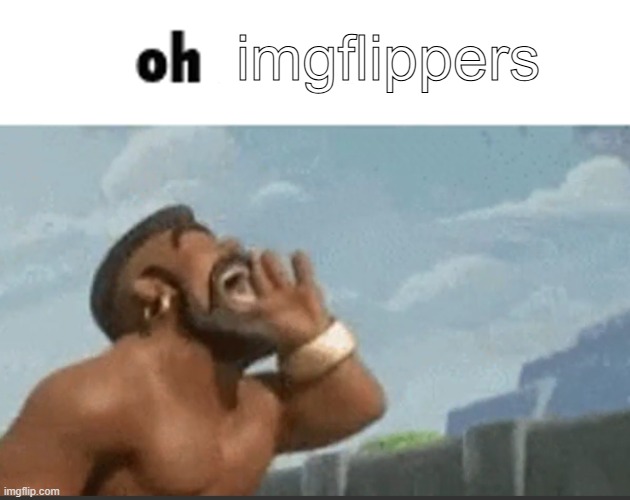 oh mods | imgflippers | image tagged in oh mods | made w/ Imgflip meme maker