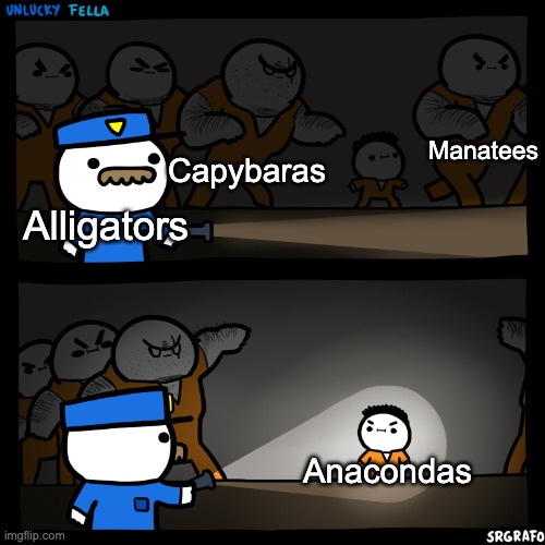 Anacondas hate alligators fr | Manatees; Capybaras; Alligators; Anacondas | image tagged in flashlight pointed at child,animals,alligator,capybara,manatee,anaconda | made w/ Imgflip meme maker