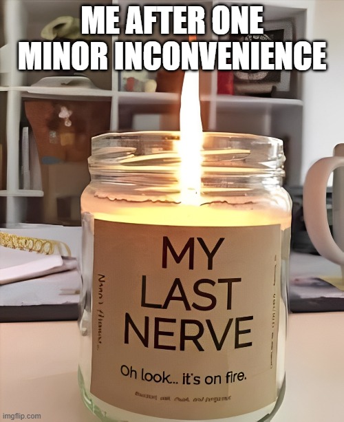 That feeling! | ME AFTER ONE MINOR INCONVENIENCE | image tagged in memes | made w/ Imgflip meme maker