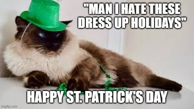 memes by Brad - My cat hates these "dress up holidays". | "MAN I HATE THESE DRESS UP HOLIDAYS"; HAPPY ST. PATRICK'S DAY | image tagged in cats,kitten,st patrick's day,costume,funny,humor | made w/ Imgflip meme maker