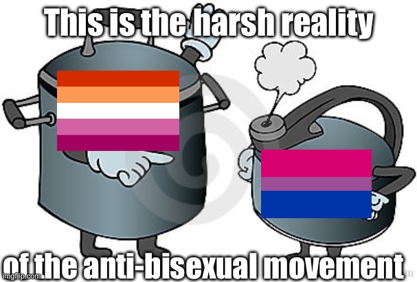 We shouldn’t be fighting one another. | This is the harsh reality; of the anti-bisexual movement | image tagged in pot calling kettle black | made w/ Imgflip meme maker