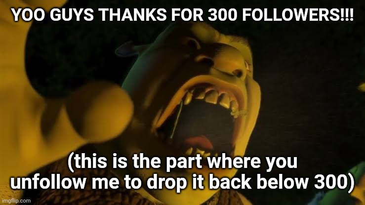 YOO GUYS THANKS FOR 300 FOLLOWERS!!! (this is the part where you unfollow me to drop it back below 300) | made w/ Imgflip meme maker
