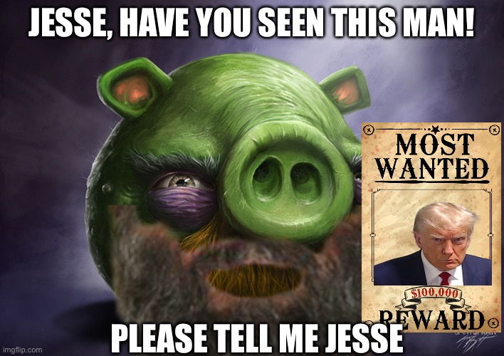 JESSE, HAVE YOU SEEN THIS MAN | JESSE, HAVE YOU SEEN THIS MAN! PLEASE TELL ME JESSE | image tagged in realistic angry birds | made w/ Imgflip meme maker