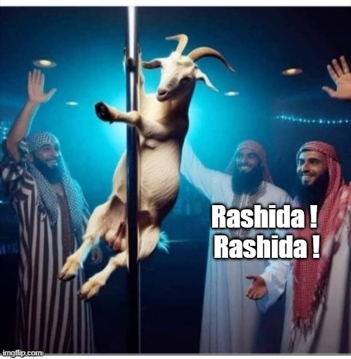 48 hours in Politics for commenting on a meme that was showing her AS a Goat | Rashida ! 
Rashida ! | image tagged in rashida stripper meme | made w/ Imgflip meme maker