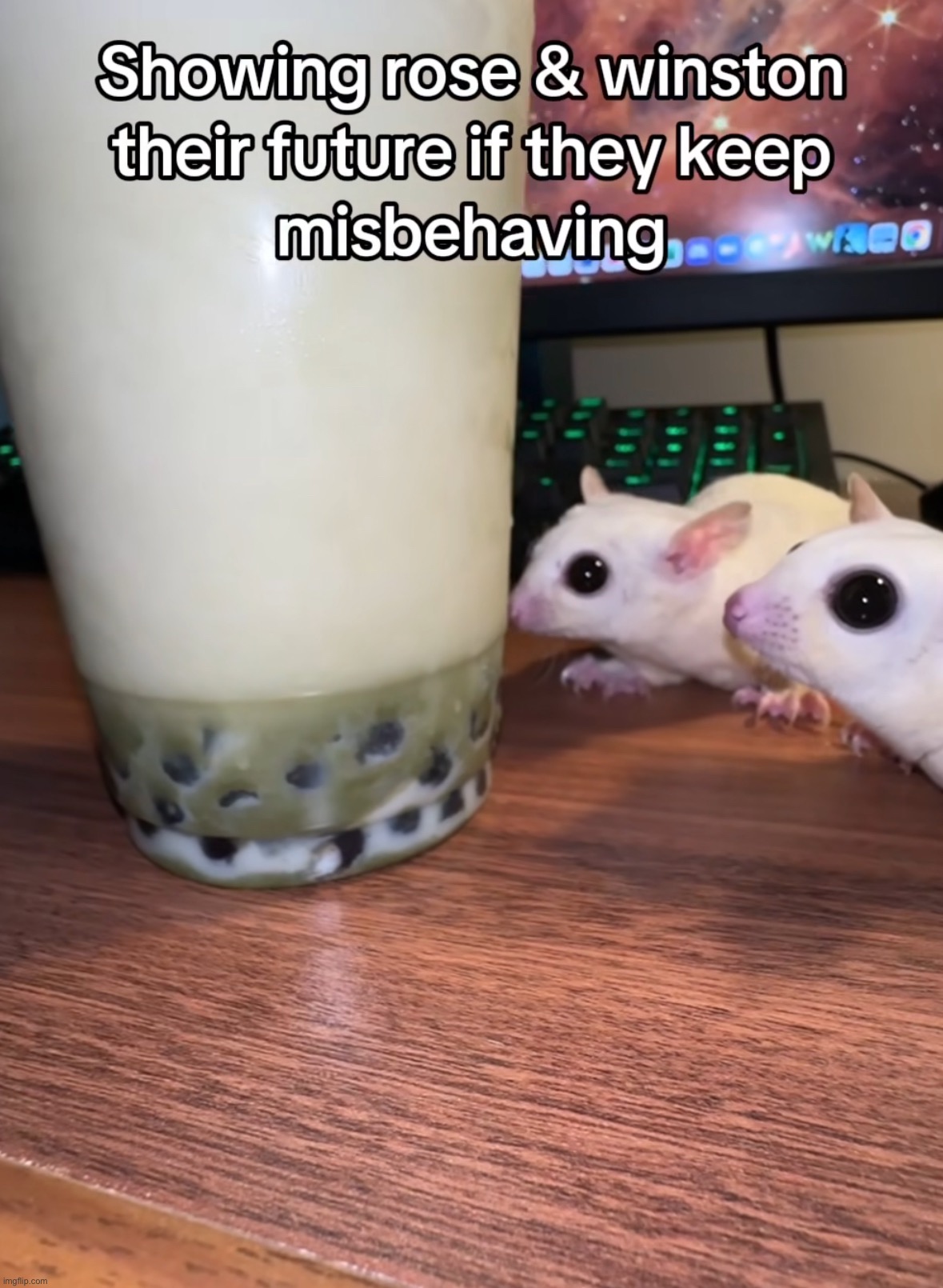 made w/ Imgflip meme maker