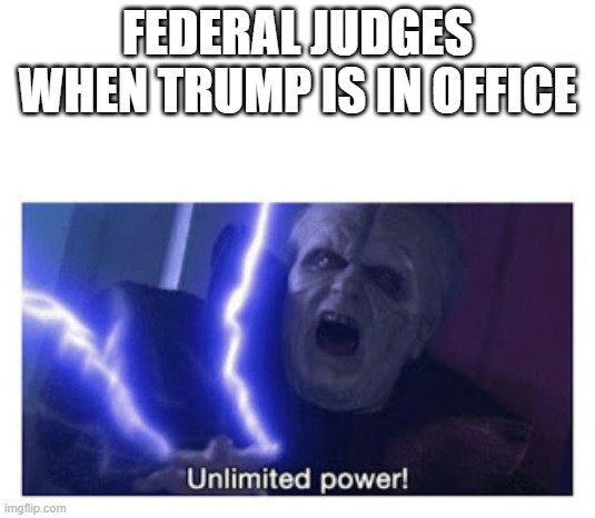 Threat To Krytocracy | FEDERAL JUDGES WHEN TRUMP IS IN OFFICE | image tagged in unlimited power | made w/ Imgflip meme maker