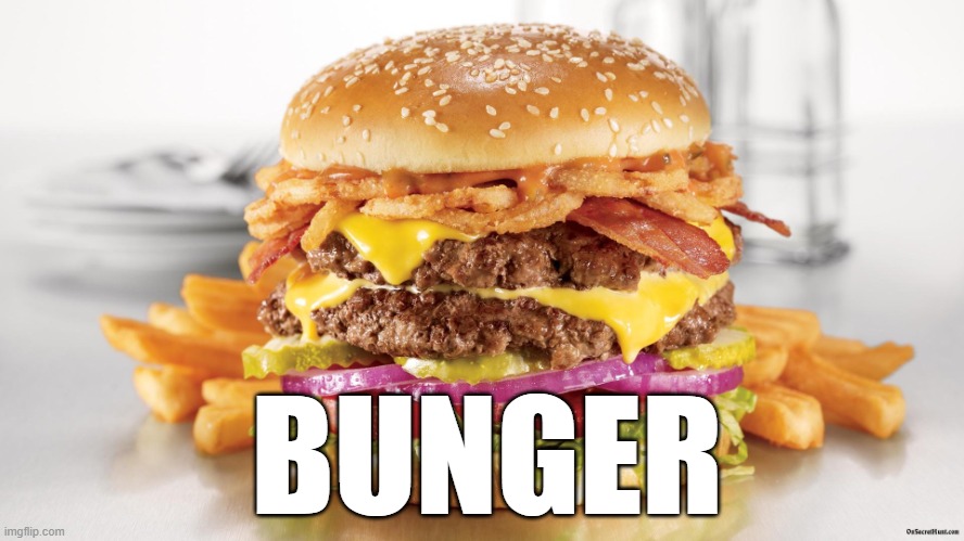 no women? no problem. bunger will help you | BUNGER | image tagged in burger fries,bunger,no bitches | made w/ Imgflip meme maker