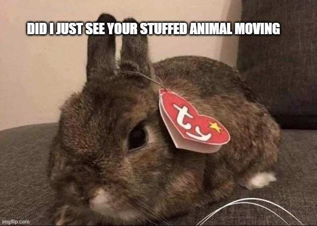 landlord not allowing pets | DID I JUST SEE YOUR STUFFED ANIMAL MOVING | made w/ Imgflip meme maker