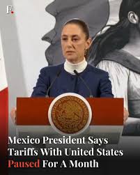 High Quality Claudia Sheinbaum Blank Meme Template