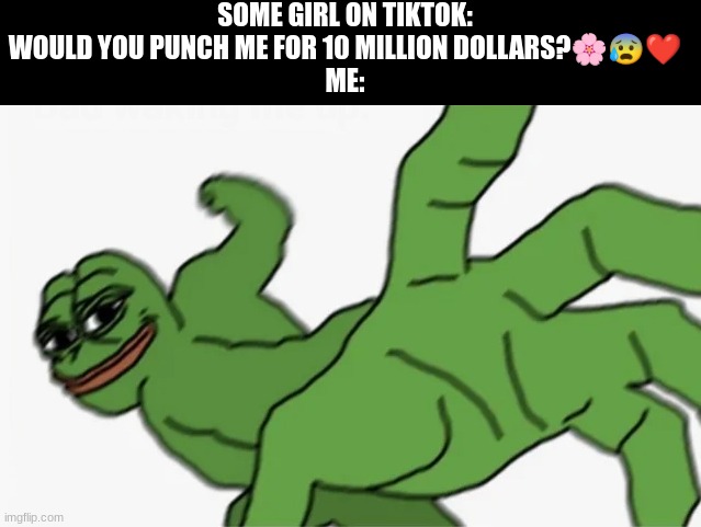 i'll do it for a penny | SOME GIRL ON TIKTOK: WOULD YOU PUNCH ME FOR 10 MILLION DOLLARS?🌸😰❤
ME: | image tagged in pepe punch,memes,tiktok,tiktok girls,internet | made w/ Imgflip meme maker