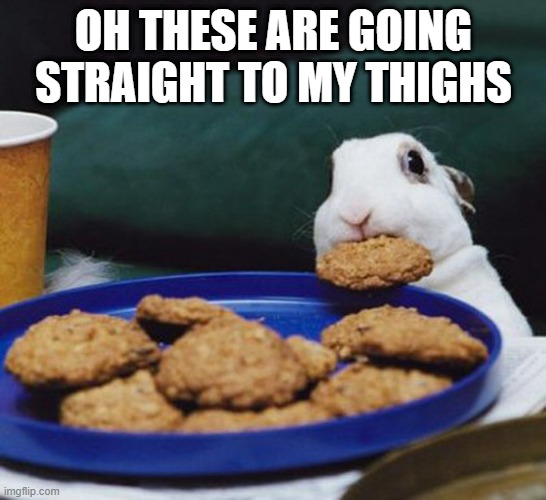 Bunny Cookies | OH THESE ARE GOING STRAIGHT TO MY THIGHS | image tagged in bunnies | made w/ Imgflip meme maker