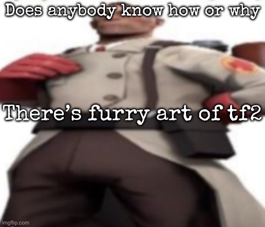 The game is goofy indeed, but | Does anybody know how or why; There’s furry art of tf2 | image tagged in ze medic,msmg | made w/ Imgflip meme maker