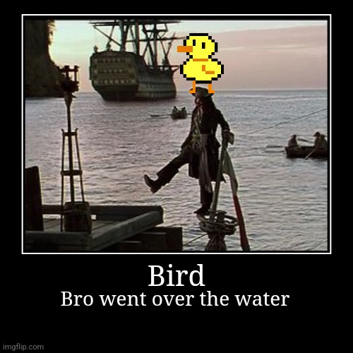 BTCYOADSM | Bird | Bro went over the water | image tagged in funny,demotivationals,bird,undertale,pirates of the carribean,jack sparrow | made w/ Imgflip demotivational maker