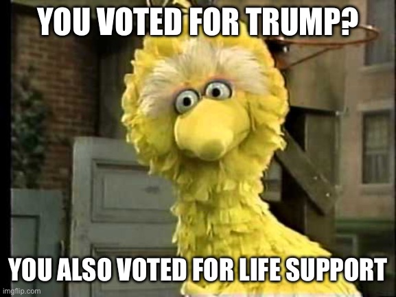 Big bird | YOU VOTED FOR TRUMP? YOU ALSO VOTED FOR LIFE SUPPORT | image tagged in big bird | made w/ Imgflip meme maker