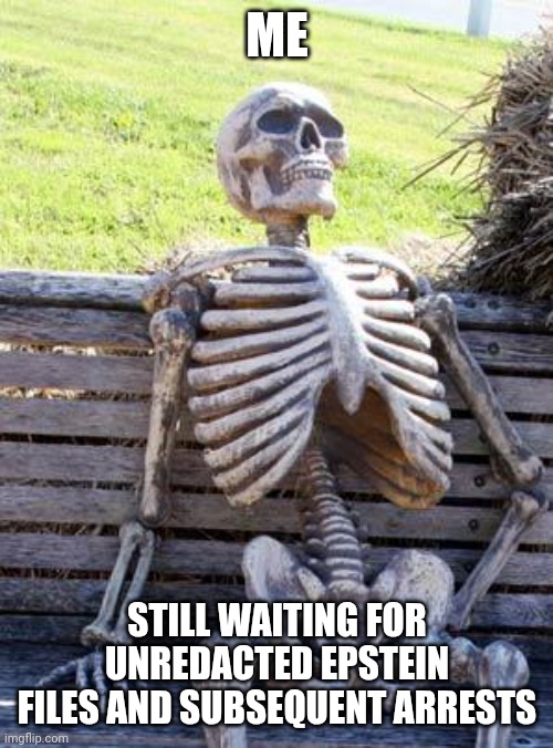 Getting old | ME; STILL WAITING FOR UNREDACTED EPSTEIN FILES AND SUBSEQUENT ARRESTS | image tagged in memes,waiting skeleton | made w/ Imgflip meme maker