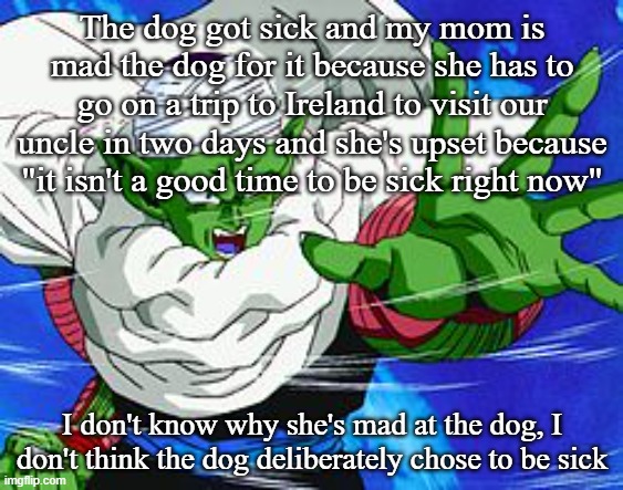 Piccolo | The dog got sick and my mom is mad the dog for it because she has to go on a trip to Ireland to visit our uncle in two days and she's upset because "it isn't a good time to be sick right now"; I don't know why she's mad at the dog, I don't think the dog deliberately chose to be sick | image tagged in piccolo | made w/ Imgflip meme maker