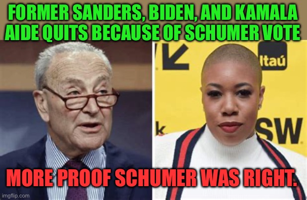 Democrats Losing policies need unity | FORMER SANDERS, BIDEN, AND KAMALA AIDE QUITS BECAUSE OF SCHUMER VOTE; MORE PROOF SCHUMER WAS RIGHT. | image tagged in gifs,democrats,clueless,incompetence,losers,fake | made w/ Imgflip meme maker