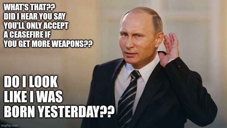 The nerve. | WHAT'S THAT?? DID I HEAR YOU SAY YOU'LL ONLY ACCEPT A CEASEFIRE IF YOU GET MORE WEAPONS?? DO I LOOK LIKE I WAS BORN YESTERDAY?? | image tagged in putin is listening to you | made w/ Imgflip meme maker