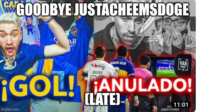 Goodbye justacheemsdoge (Too late) | GOODBYE JUSTACHEEMSDOGE; (LATE) | image tagged in gol-anulado | made w/ Imgflip meme maker