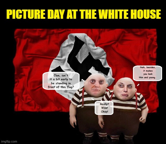 Too soon??? | PICTURE DAY AT THE WHITE HOUSE; Nah, besides, it makes you look thin and young. Elon, isn't it a bit early to be standing in front of this flag? Really? Wow! Okay! | image tagged in elon musk,impeach trump,donald trump the clown,nazi | made w/ Imgflip meme maker