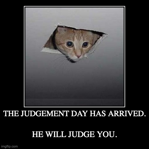 THE JUDGEMENT DAY HAS ARRIVED. | HE WILL JUDGE YOU. | image tagged in judgement,demotivationals,cat | made w/ Imgflip demotivational maker